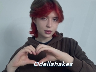 Odellahakes