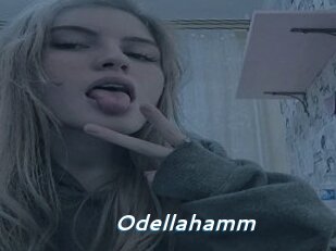 Odellahamm