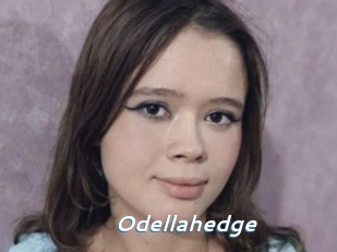 odellahedge Camgirls Live