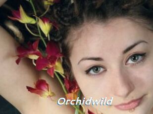 Orchidwild