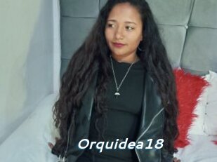 Orquidea18
