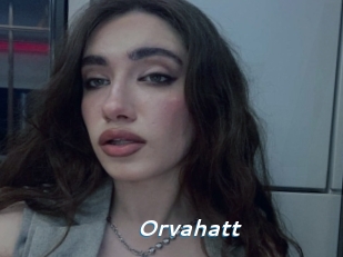 Orvahatt