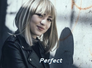 Perfect Camgirls Live