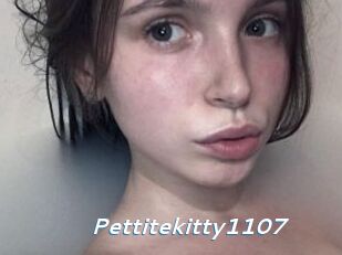 Pettitekitty1107