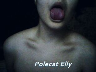 Polecat_Elly