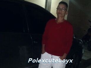 Polexcuteboyx