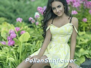 PolianSunflower