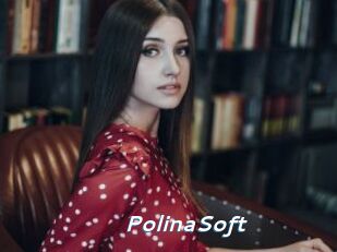 PolinaSoft