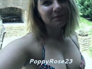 PoppyRose23