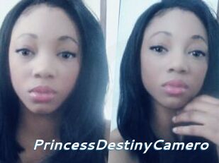 PrincessDestinyCamero