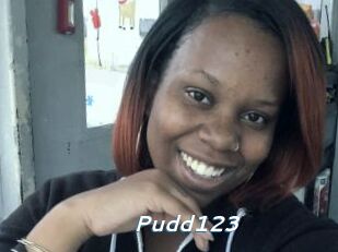 Pudd123