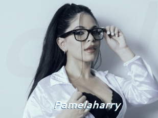 Pamelaharry