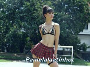 Pamelalaatinhot