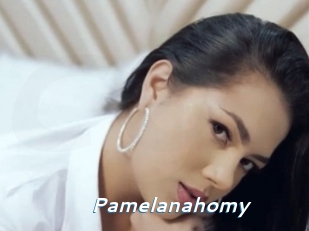 Pamelanahomy