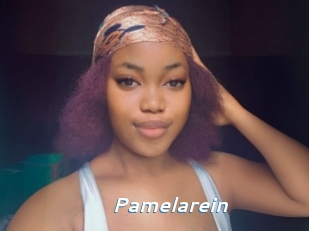 Pamelarein