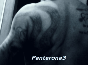 panterona3 Camgirls Live