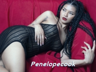 Penelopecook