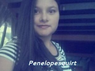 Penelopesquirt