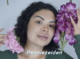 Penniezeiden