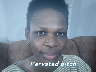 pervated_bitch Camgirls Live