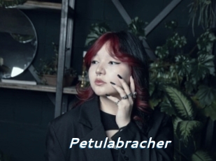 Petulabracher
