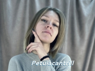 petulacantrill Camgirls Live