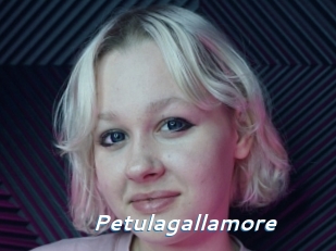 Petulagallamore