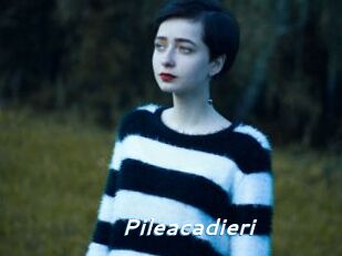 Pileacadieri