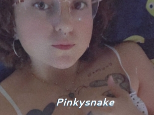 Pinkysnake