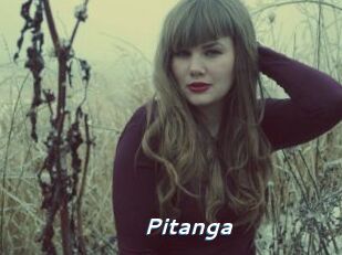 Pitanga