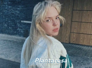 Plantarosa