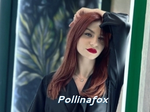 Pollinafox