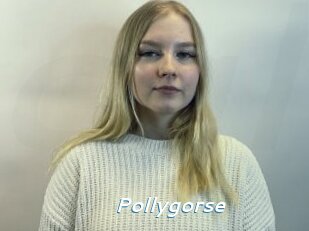 Pollygorse