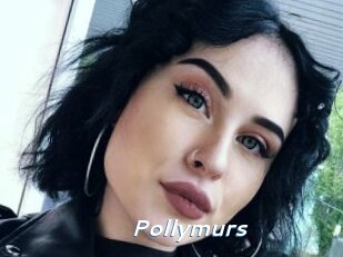 Pollymurs