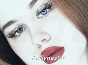 Pollynaster