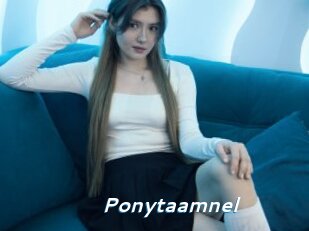 Ponytaamnel