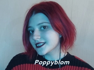 Poppyblom