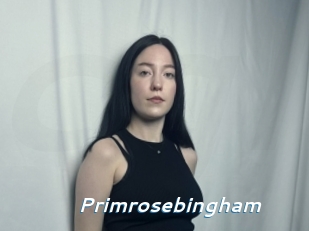 Primrosebingham
