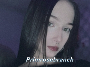 Primrosebranch