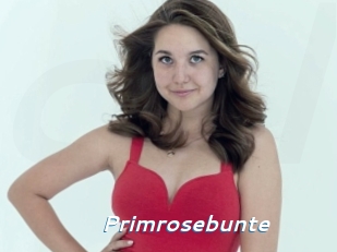 Primrosebunte