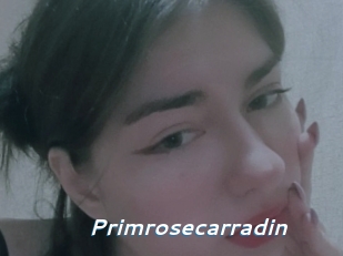 Primrosecarradin