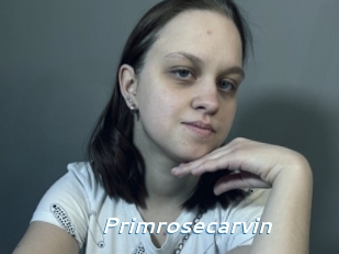 Primrosecarvin