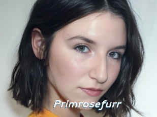 Primrosefurr