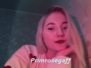 primrosegaff Camgirls Live