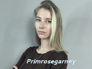 Primrosegarney