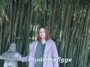 Prudencefigge