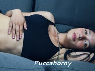 puccahorny Camgirls Live