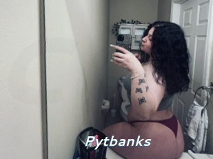 Pytbanks