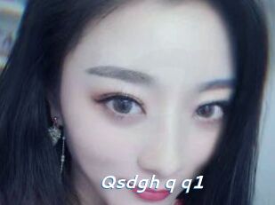 Qsdgh_q_q1