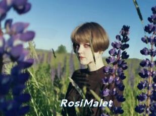 RosiMalet Camgirls Live